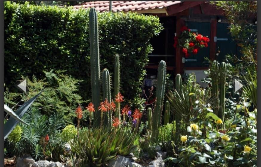 Cactus House Gaspar Zadar Eksteriør billede